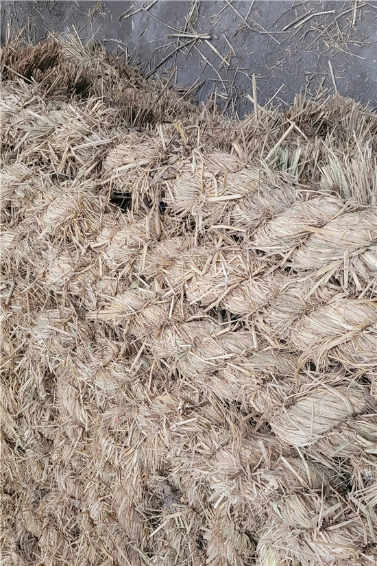 稻夫草支墊在鐵路貨物運(yùn)輸中的加固作用(稻草墊厚度不得小于且壓實(shí)后不得小于10mm) 稻夫草支墊在鐵路貨物運(yùn)輸中的加固作用(稻草墊厚度不得小于且壓實(shí)后不得小于10mm)