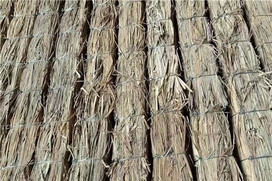 鐵路鋼廠裝載防滑草支墊的選購(gòu)與保養(yǎng)(鐵路鋼廠裝載防滑草支墊的選購(gòu)與保養(yǎng)方法)