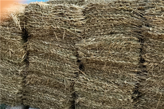 鋼廠鐵路裝載防滑草支墊的市場(chǎng)前景分析 鋼廠鐵路裝載防滑草支墊的市場(chǎng)前景分析