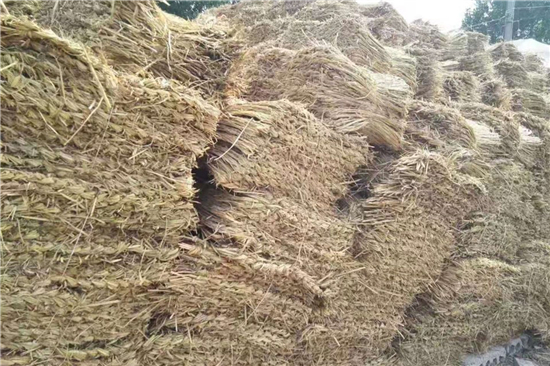 鐵路鋼廠裝載加固 防滑草支墊的選用(防滑草墊在哪里有賣) 鐵路鋼廠裝載加固 防滑草支墊的選用(防滑草墊在哪里有賣)