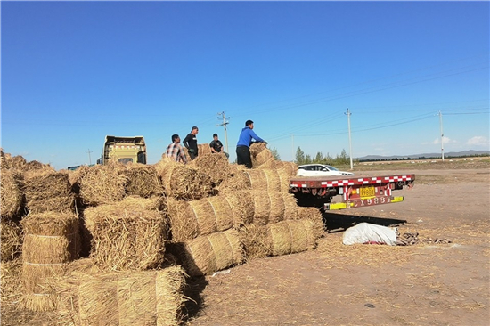 防滑草支墊在鋼廠鐵路裝載中的技術(shù)應(yīng)用 防滑草支墊在鋼廠鐵路裝載中的技術(shù)應(yīng)用