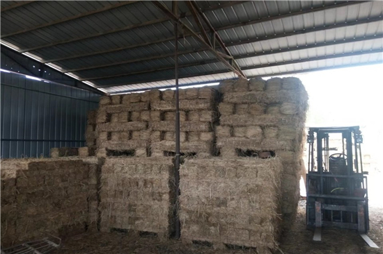 稻夫草支墊在鐵路運(yùn)輸中對(duì)貨物的穩(wěn)固支撐(稻草墊一般鋪墊于貨物與車地板間) 稻夫草支墊在鐵路運(yùn)輸中對(duì)貨物的穩(wěn)固支撐(稻草墊一般鋪墊于貨物與車地板間)