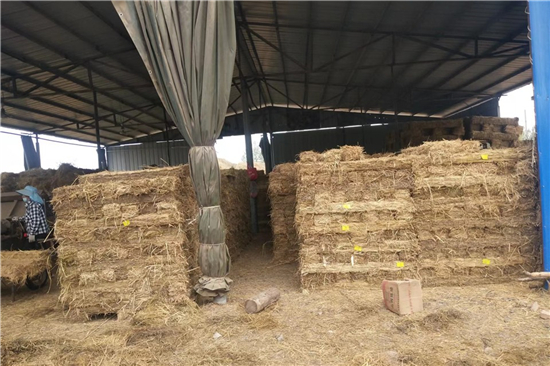 鐵路鋼廠裝載加固 防滑草支墊的性能(草坪防滑墊)