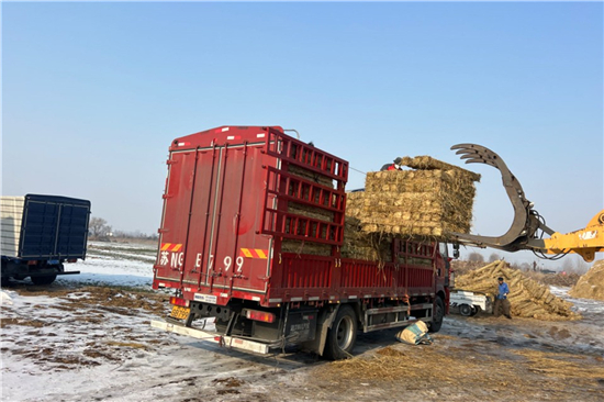 鋼廠鐵路運(yùn)輸防滑加固稻夫草支墊的品質(zhì)保障(稻草防腐) 鋼廠鐵路運(yùn)輸防滑加固稻夫草支墊的品質(zhì)保障(稻草防腐)