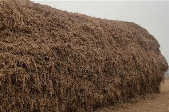 鋼廠鐵路運(yùn)輸防滑加固稻夫草支墊的技術(shù)創(chuàng)新 鋼廠鐵路運(yùn)輸防滑加固稻夫草支墊的技術(shù)創(chuàng)新