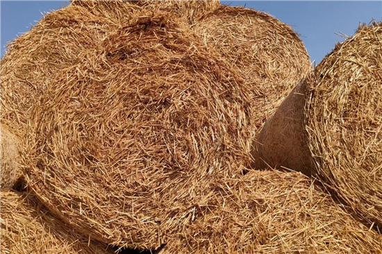 鋼廠鐵路裝載防滑草支墊的規(guī)格與要求(防滑草墊多少錢一塊) 鋼廠鐵路裝載防滑草支墊的規(guī)格與要求(防滑草墊多少錢一塊)