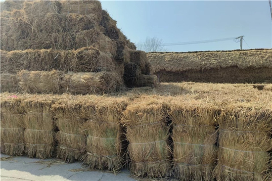 防滑草支墊廠家 為鐵路鋼廠裝載保駕護航(防滑草墊規(guī)格)