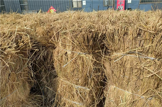 鋼廠鐵路火車運(yùn)輸防滑加固稻夫草支墊的安裝與維護(hù)(稻草墊厚度不得小于且壓實(shí)后不得小于10mm) 鋼廠鐵路火車運(yùn)輸防滑加固稻夫草支墊的安裝與維護(hù)(稻草墊厚度不得小于且壓實(shí)后不得小于10mm)