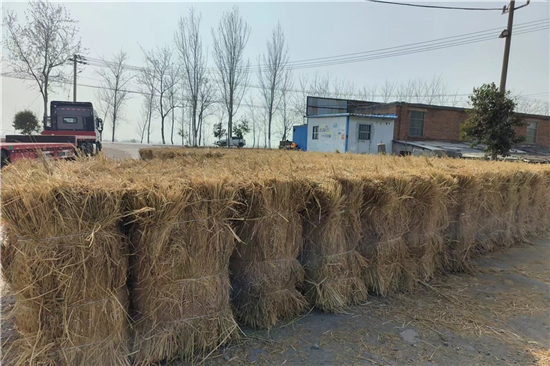 稻夫草支墊在鐵路運(yùn)輸中對(duì)貨物的平穩(wěn)支撐 稻夫草支墊在鐵路運(yùn)輸中對(duì)貨物的平穩(wěn)支撐