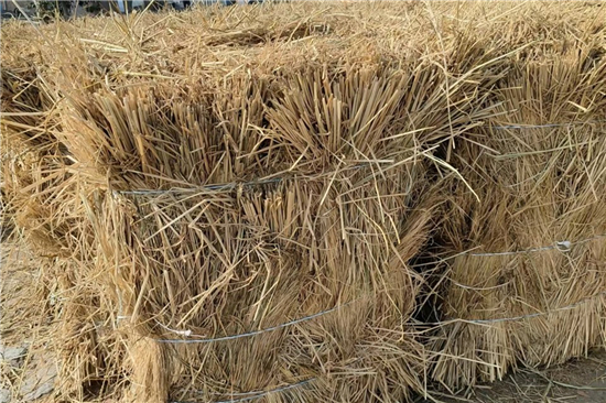 鋼廠鐵路裝載加固防滑草支墊廠家 技術(shù)領(lǐng)先