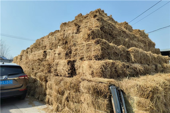 鋼廠鐵路火車運(yùn)輸防滑加固稻夫草支墊的案例分析 鋼廠鐵路火車運(yùn)輸防滑加固稻夫草支墊的案例分析