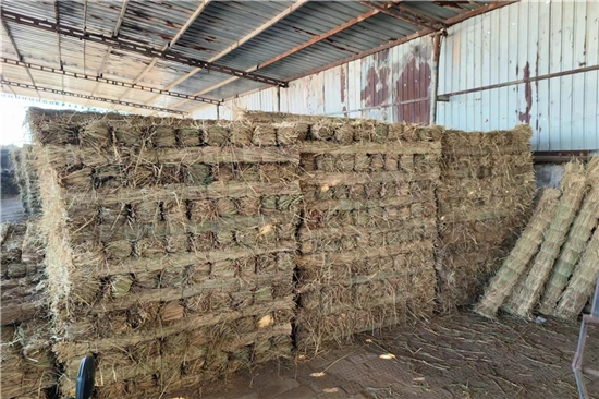 鐵路鋼廠裝載防滑草支墊廠家 全面提升運(yùn)輸安全(防滑草墊使用注意) 鐵路鋼廠裝載防滑草支墊廠家 全面提升運(yùn)輸安全(防滑草墊使用注意)