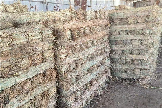 鐵路鋼廠裝載防滑草支墊的優(yōu)勢與特點(diǎn)(鐵路鋼廠裝載防滑草支墊的優(yōu)勢與特點(diǎn)是什么) 鐵路鋼廠裝載防滑草支墊的優(yōu)勢與特點(diǎn)(鐵路鋼廠裝載防滑草支墊的優(yōu)勢與特點(diǎn)是什么)