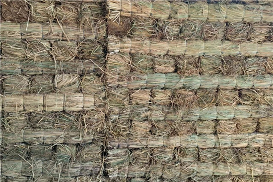 鋼廠鐵路運(yùn)輸防滑加固稻夫草支墊的維護(hù)與管理(稻草墊怎么做) 鋼廠鐵路運(yùn)輸防滑加固稻夫草支墊的維護(hù)與管理(稻草墊怎么做)