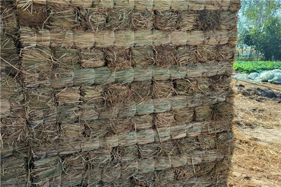 鋼廠鐵路裝載加固防滑草支墊廠家 服務(wù)與技術(shù)并重(防滑草墊子) 鋼廠鐵路裝載加固防滑草支墊廠家 服務(wù)與技術(shù)并重(防滑草墊子)