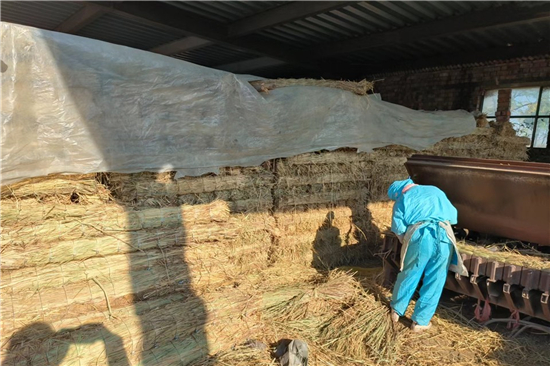 鋼廠鐵路裝載防滑草支墊的市場(chǎng)前景分析 鋼廠鐵路裝載防滑草支墊的市場(chǎng)前景分析