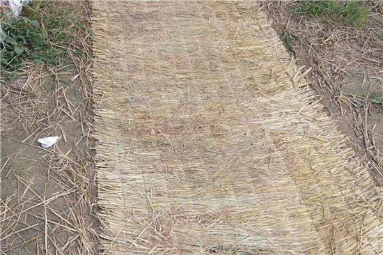 稻夫草支墊在鐵路運(yùn)輸中的安全性能評(píng)估(稻草墊一般鋪墊于貨物與車地板間) 稻夫草支墊在鐵路運(yùn)輸中的安全性能評(píng)估(稻草墊一般鋪墊于貨物與車地板間)