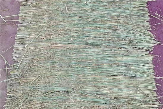 鋼廠鐵路運(yùn)輸防滑加固稻夫草支墊的行業(yè)動(dòng)態(tài)(稻草防腐) 鋼廠鐵路運(yùn)輸防滑加固稻夫草支墊的行業(yè)動(dòng)態(tài)(稻草防腐)