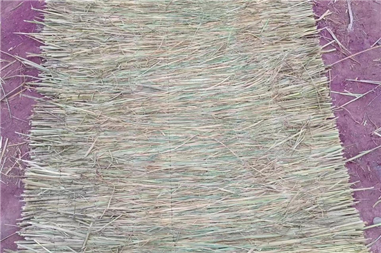 鋼廠鐵路運(yùn)輸防滑加固稻夫草支墊的檢測(cè)與質(zhì)量控制(稻草墊厚度不得小于且壓實(shí)后不得小于10mm)